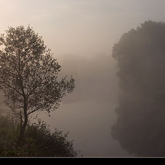 photo "August morning"