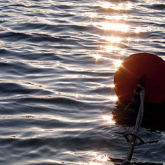 photo ""Buoy""