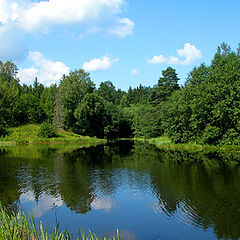 фото "синька и зелёнка..."