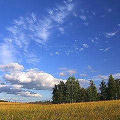 фото "Среднерусский пейзаж."