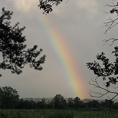 photo "After rain"