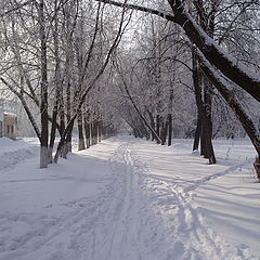 photo "Winter"