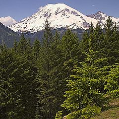 фото "Mount Rainier"