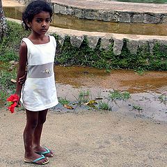 фото "The flower girl"