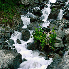фото "Абхазия.У подножья "молочного водопада""