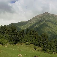 фото "Ленч на траве"