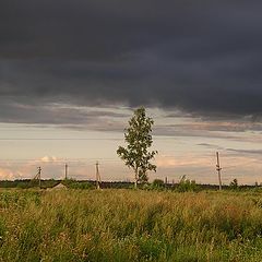 photo "Loneliness"