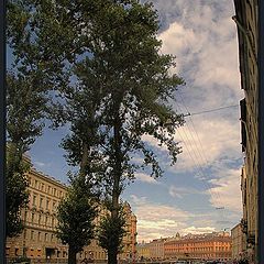 photo "Near the Sennaya sq. Three poplars."