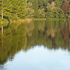 photo "Ripples in Silence"