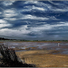 photo "On the lonely beach"