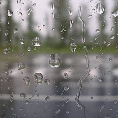 photo "Drops of a rain"