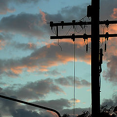 фото "Traffic light and.....Evening Flight"