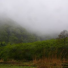 фото "rain in the mountains"