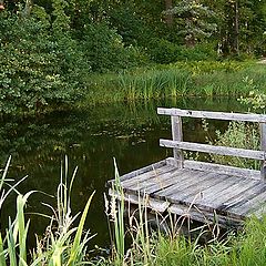 фото "Old pond"