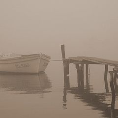 фото "In Fog"