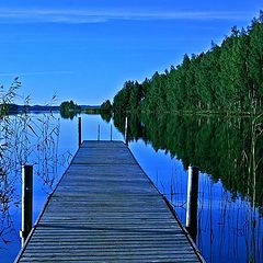 photo "Blues of late summer..."