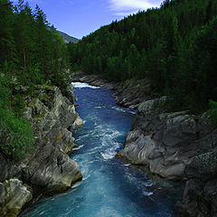 photo "River view"