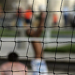 photo "Volleyball"