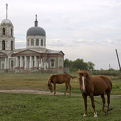 photo "Rural landscape"