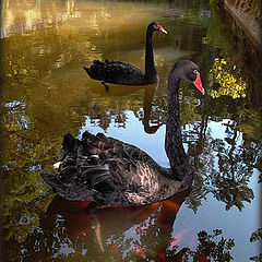 photo "Gardens da Pena (2)"