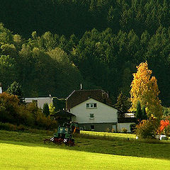 фото "Herbstliche Vorschau"