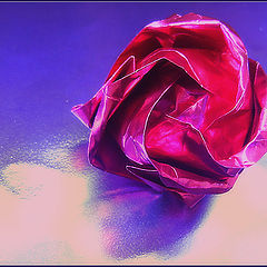 photo "The memoirs on a rose"