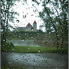 photo "On the other hand a rain"