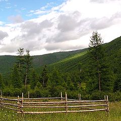 photo "The Landscape with a fencing."