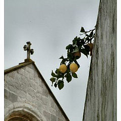 фото "Santarem"