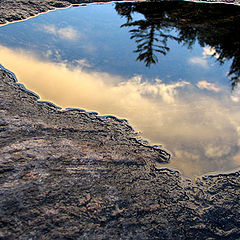 photo "Nature`s Mirror"