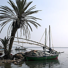 фото "Fishing boats 6"