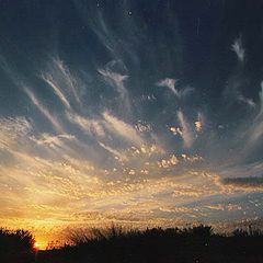 photo "Sunset in dunes"