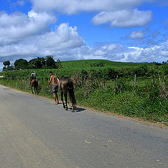 фото "On the road"