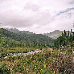 photo "On The road to mountains"