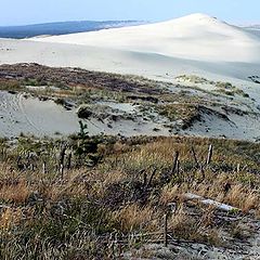 photo "Dunes"