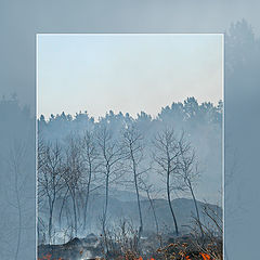 фото "стихия"