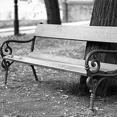 photo "bench"