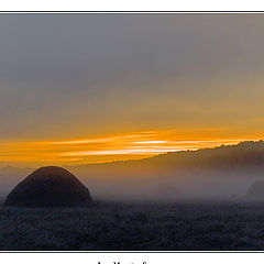 фото "Last Morning Summer"