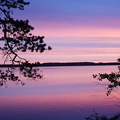 photo "Reflection"