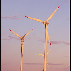 фото "Weather vane"