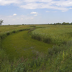 photo "Sight from a roadside #2"