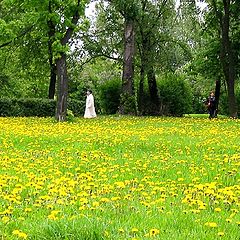 photo "Spring in park"