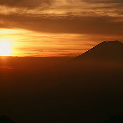 photo "Orange Fuji"