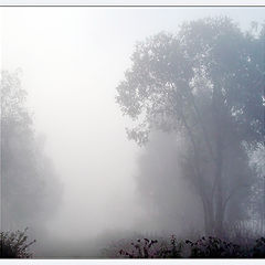 photo "Fog Today"