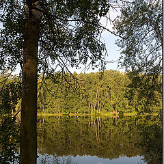 photo "Evening at the river"