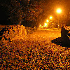 photo "Evening walk..."