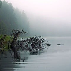 photo "Lake and fog"