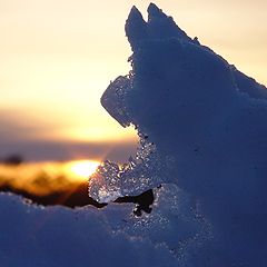 фото "прикоснуться до солнца"