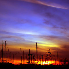 photo "dusk"