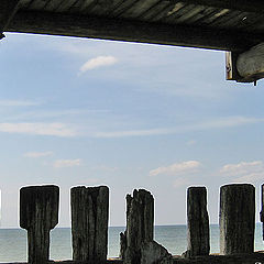 photo "under the brigde"